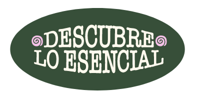 Descubre lo esencial